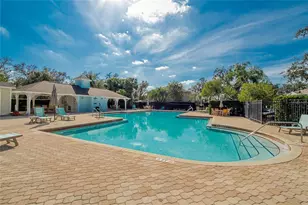 15965 Fishhawk View Dr, Lithia, FL 33547 - Photo 19