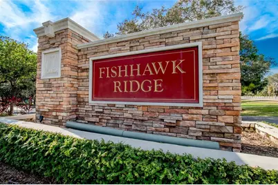 15965 Fishhawk View Drive, Lithia, FL 33547 - Photo 17