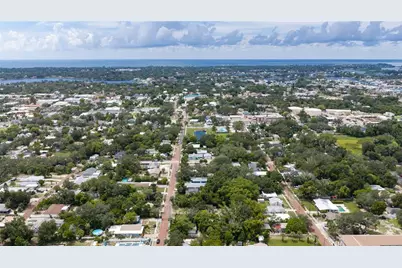 547 Cypress Street, Tarpon Springs, FL 34689 - Photo 47