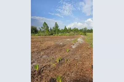 1106 Calliandra Drive, Indian Lake Estates, FL 33855 - Photo 1