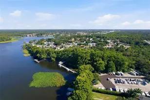1339 Queen Anne Dr, Palm Harbor, FL 34684 - Photo 47
