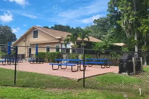 1339 Queen Anne Dr, Palm Harbor, FL 34684 - Photo 43