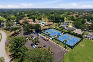 1339 Queen Anne Dr, Palm Harbor, FL 34684 - Photo 31