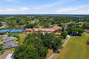 1339 Queen Anne Dr, Palm Harbor, FL 34684 - Photo 39