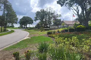 1339 Queen Anne Dr, Palm Harbor, FL 34684 - Photo 27