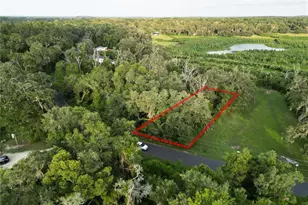 3418 E Perry St, Inverness, FL 34453 - Photo 1
