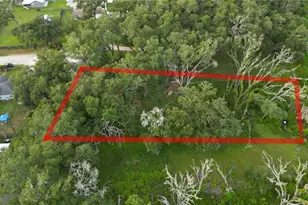 3352 E Lake Nina Dr, Inverness, FL 34453 - Photo 1