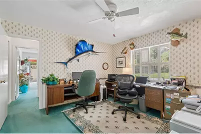 2364 Violet Pl, Palm Harbor, FL 34685 - Photo 23