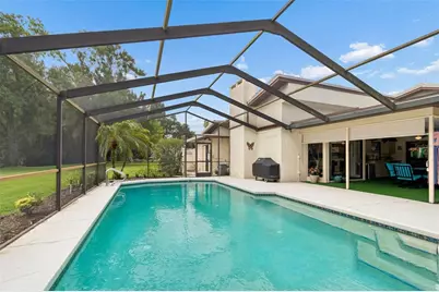 2364 Violet Pl, Palm Harbor, FL 34685 - Photo 33