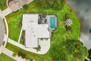 2364 Violet Pl, Palm Harbor, FL 34685 - Photo 3