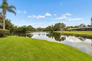 2364 Violet Pl, Palm Harbor, FL 34685 - Photo 37
