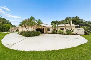 2364 Violet Pl, Palm Harbor, FL 34685 - Photo 39