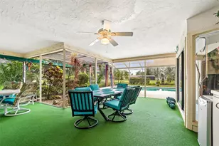 2364 Violet Pl, Palm Harbor, FL 34685 - Photo 29