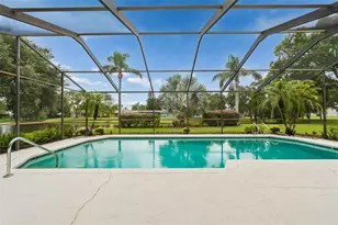 2364 Violet Pl, Palm Harbor, FL 34685 - Photo 33