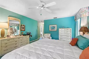 2364 Violet Pl, Palm Harbor, FL 34685 - Photo 25