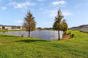 5507 Rainwood Meadows Dr, Apollo Beach, FL 33572 - Photo 57