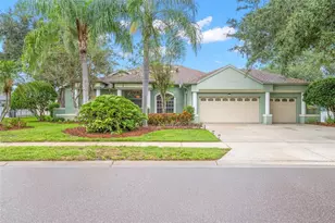 5501 Stag Thicket Ln, Palm Harbor, FL 34685 - Photo 1