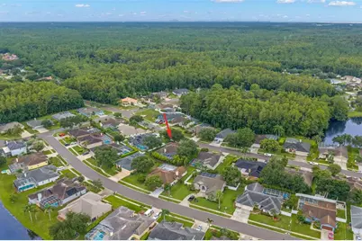 5501 Stag Thicket Lane, Palm Harbor, FL 34685 - Photo 55