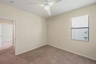 5009 Jagged Cloud Dr, Wimauma, FL 33598 - Photo 39