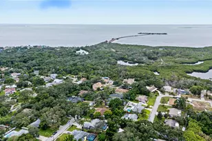 1706 Avoca Dr, Tarpon Springs, FL 34689 - Photo 59
