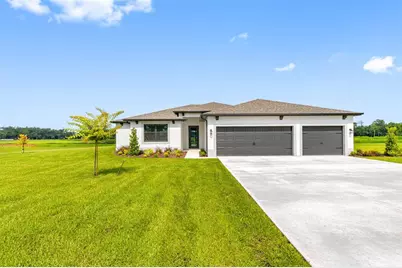 13483 Lake Gallagher Drive, Dover, FL 33527 - Photo 1