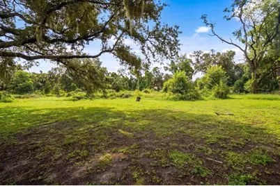 205 Cagle Road, Brandon, FL 33511 - Photo 59