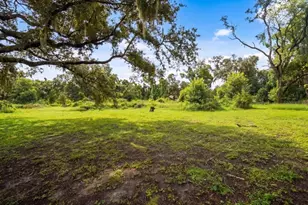 205 Cagle Rd, Brandon, FL 33511 - Photo 59
