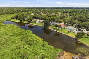 16416 Windsor Park Dr, Lutz, FL 33549 - Photo 69