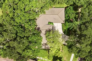 16416 Windsor Park Dr, Lutz, FL 33549 - Photo 61