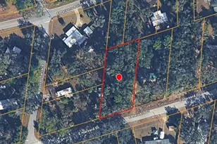 4523 E Harvard Dr, Hernando, FL 34442 - Photo 1