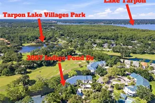 3587 Indigo Pond Dr, Palm Harbor, FL 34685 - Photo 29