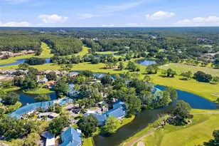 3587 Indigo Pond Dr, Palm Harbor, FL 34685 - Photo 31