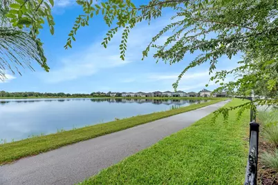 31867 Asbury Avenue, Wesley Chapel, FL 33545 - Photo 29