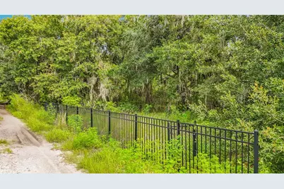 10623 Lithia Estates Drive, Lithia, FL 33547 - Photo 47