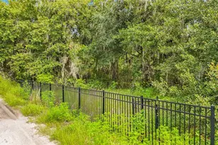 10623 Lithia Estates Dr, Lithia, FL 33547 - Photo 47