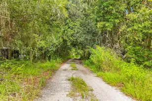 10623 Lithia Estates Dr, Lithia, FL 33547 - Photo 51