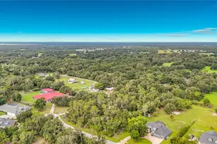 10623 Lithia Estates Dr, Lithia, FL 33547 - Photo 39