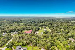 10623 Lithia Estates Dr, Lithia, FL 33547 - Photo 43