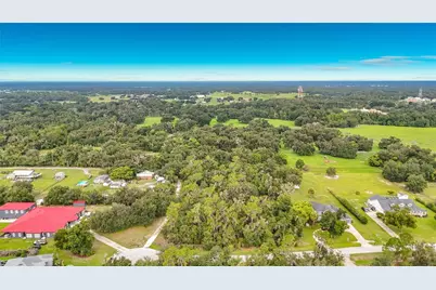 10623 Lithia Estates Drive, Lithia, FL 33547 - Photo 5