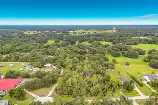10623 Lithia Estates Dr, Lithia, FL 33547 - Photo 5