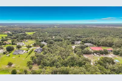 10623 Lithia Estates Drive, Lithia, FL 33547 - Photo 41
