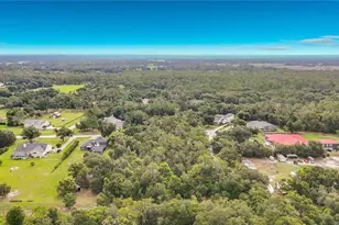 10623 Lithia Estates Dr, Lithia, FL 33547 - Photo 41