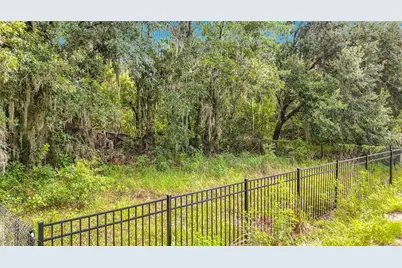 10623 Lithia Estates Drive, Lithia, FL 33547 - Photo 49