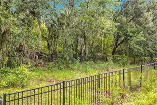 10623 Lithia Estates Dr, Lithia, FL 33547 - Photo 49