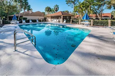 3977 Mermoor Drive, Palm Harbor, FL 34685 - Photo 13