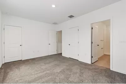 32612 Turtle Grace Loop, Wesley Chapel, FL 33545 - Photo 23