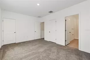 32612 Turtle Grace Loop, Wesley Chapel, FL 33545 - Photo 23