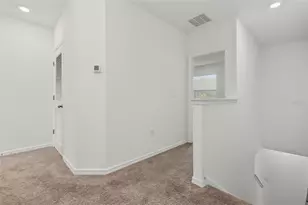 32612 Turtle Grace Loop, Wesley Chapel, FL 33545 - Photo 21