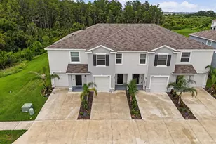 32612 Turtle Grace Loop, Wesley Chapel, FL 33545 - Photo 3
