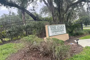 14308 Hanging Moss Cir, Tampa, FL 33613 - Photo 3